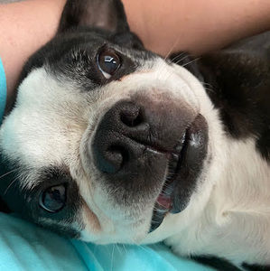 Meet your Posher, Bleach